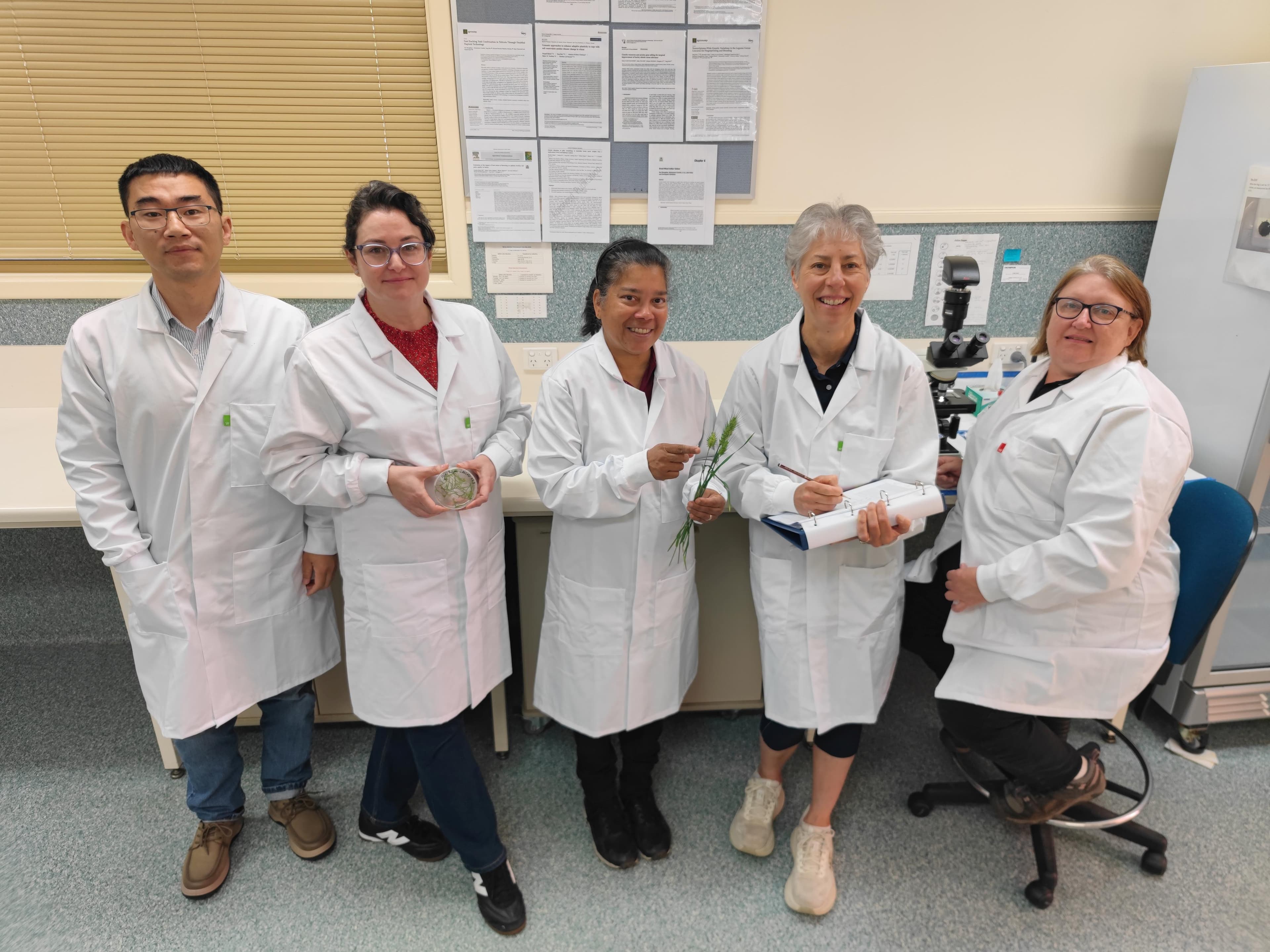 Five research scientists and technical officers in laboratory coats in a laboratory