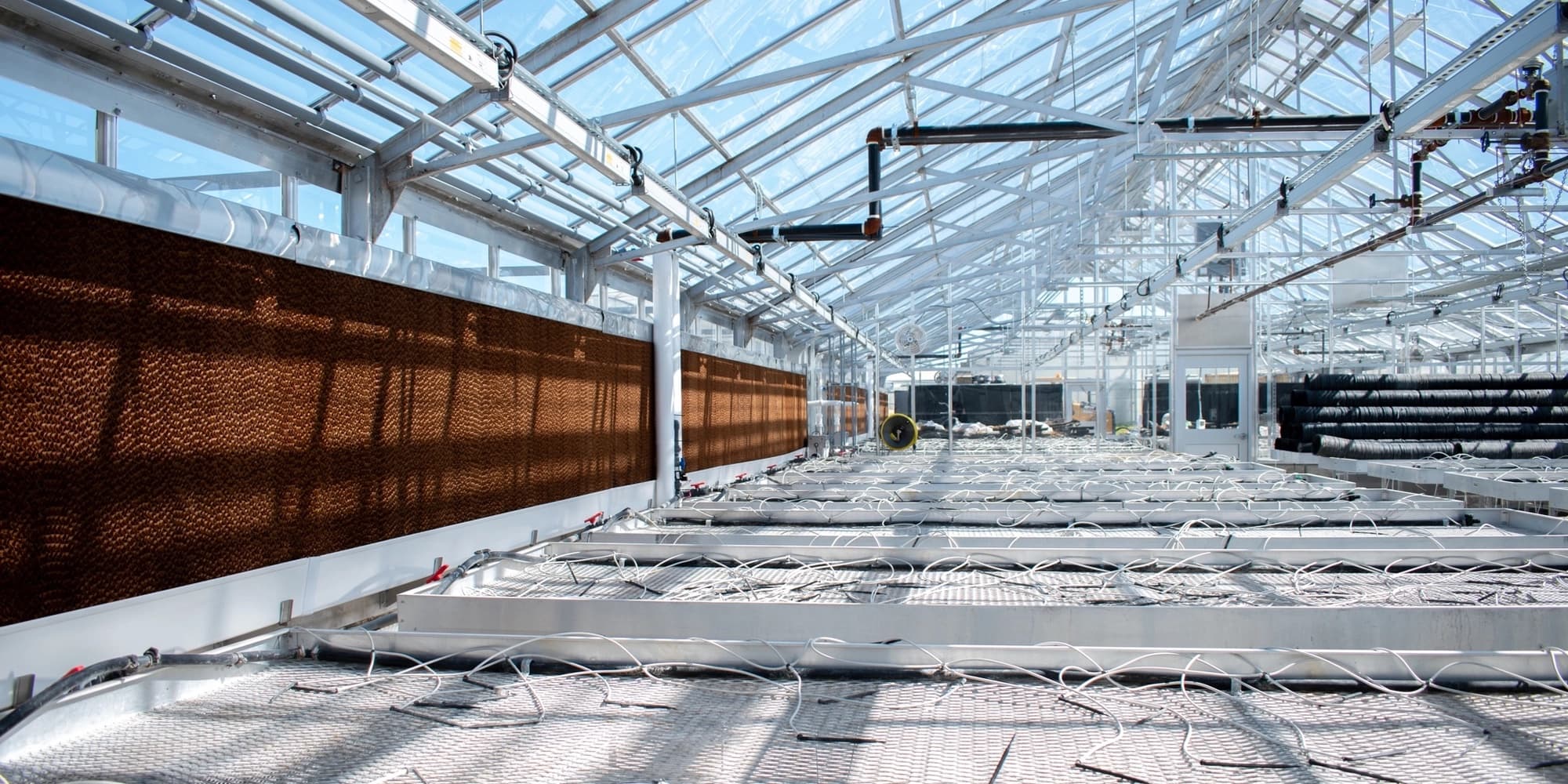 Inside a renovated research greenhouse: evaporative cooling pads along one wall, rows of benches laced with drip lines, and a glass roof