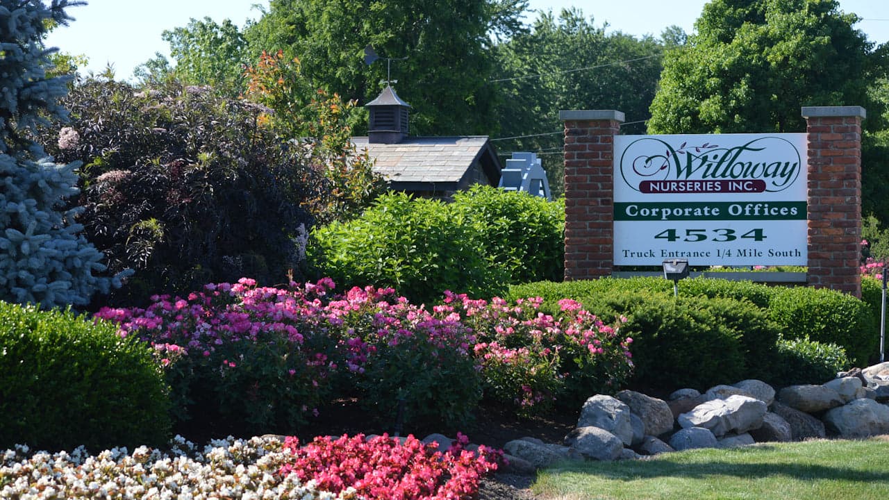 The Willoway Nurseries corporate offices sign, set in flowering shrubs and evergreens